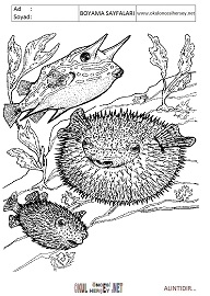 Balon Balığı boyama sayfaları